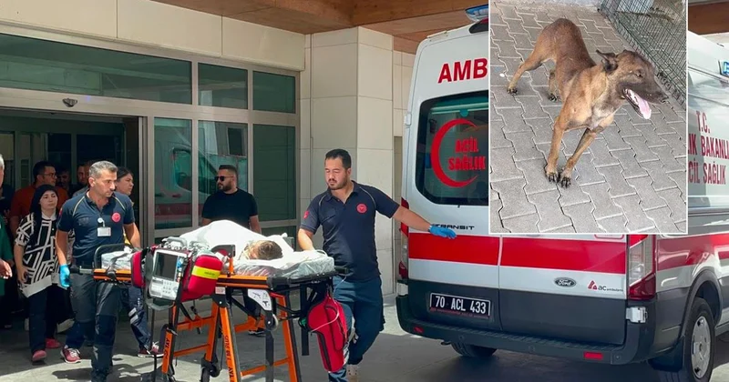 Karaman’da köpek dehşeti: 3 yaşındaki çocuk ağır yaralandı