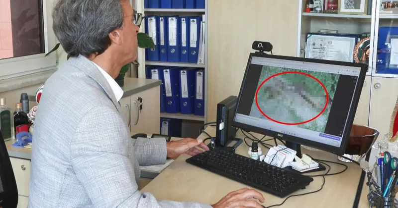 İstanbul da Akrep Endişesi