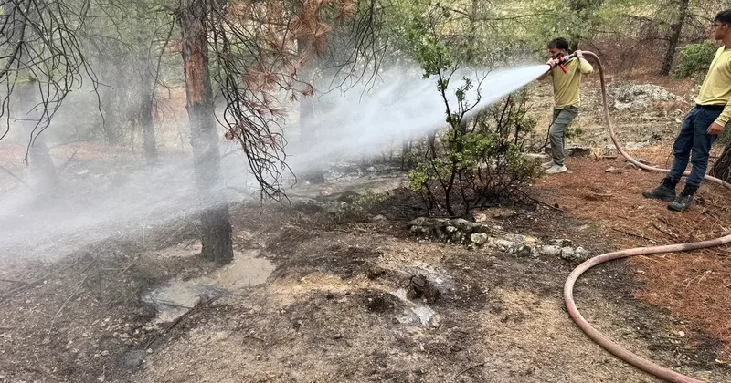 Kilis’te orman yangını