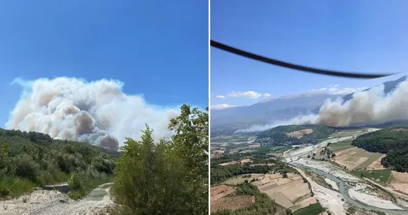Seydikemer de tarım arazisinde çıkan yangın, Kaş ta ormana sıçradı