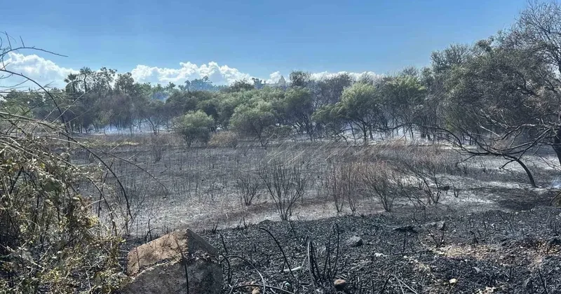 Manavgat’ta boğaz mendirek yolunda korkutan yangın