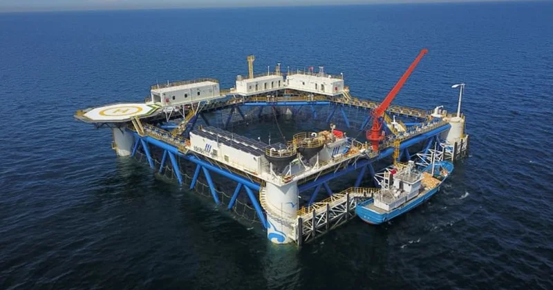 Bambudan yapılan güneş paneli tesisi denize bırakıldı Sözcü Gazetesi