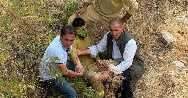 Orman yangınına giden arazöz Zap Suyu na uçtu: 3 yaralı Hakkari Haberleri Habertürk Yerel Haberler