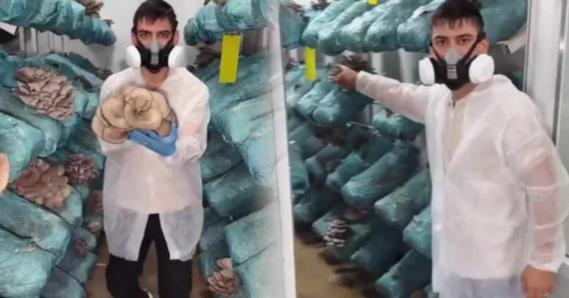 Avukatlığı bıraktı cübbesini kaldırdı: Şimdi ayda 250 bin lira kazanıyor Sözcü Gazetesi