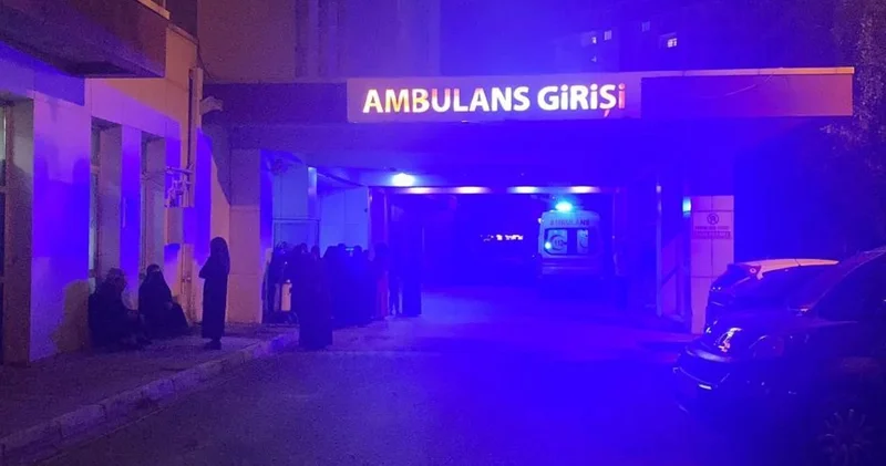 Muş’ta yıldırım faciası! Çoban hayatını kaybetti