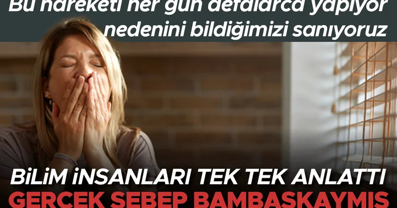 Bu hareketi her gün defalarca yapıyor, nedenini bildiğimizi sanıyoruz... Bilim insanları anlattı: Gerçek sebep bambaşkaymış