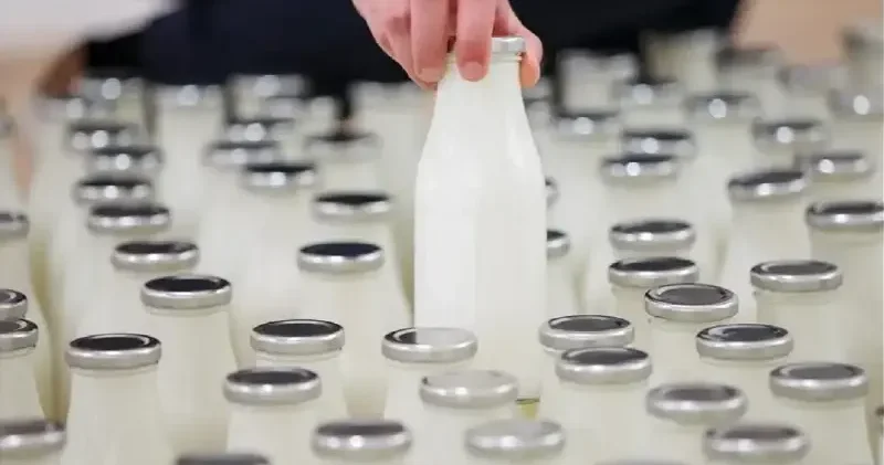 Türkiye de katma değerli süt ürünlerinin payı artıyor Türkiye Ekonomisi Haberleri