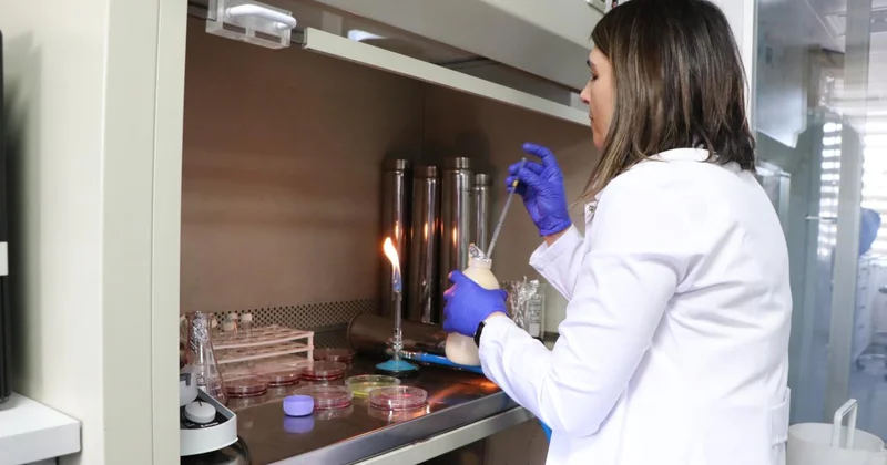 Gıdanın bozulduğunu renkle bildiren çalışma tescillendi