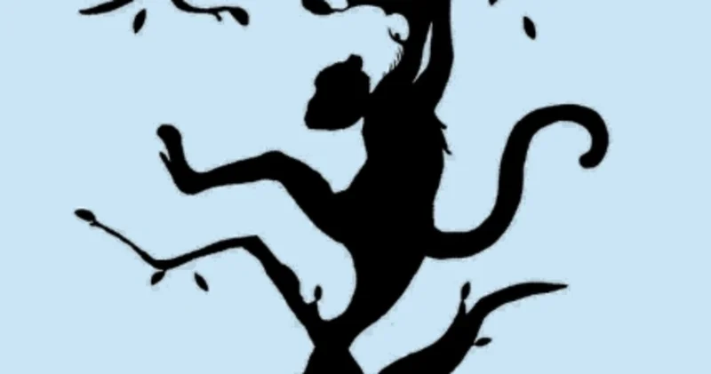 Beyninizin baskın tarafı hangisi bu test ile keşfedin! İlk gördüğünüz hayvan kişiliğinizi belirliyor