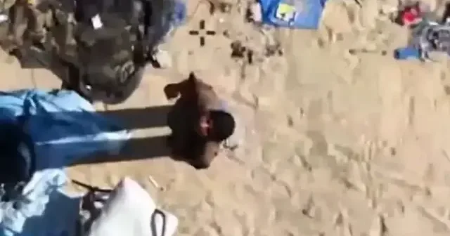 İşgalciler ateşkese rağmen saldırılara devam ediyor: 1 Filistinli daha hayatını kaybetti VİDEO İZLE