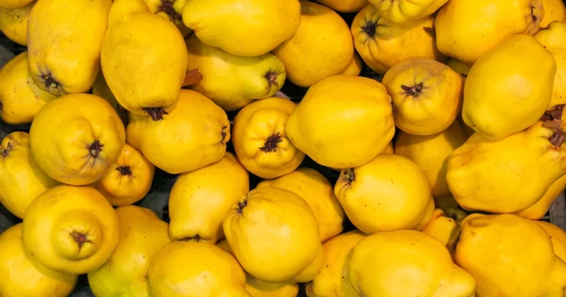 Kötü duruma düşmenin habercisi: Ayvayı yemek nereden geliyor?