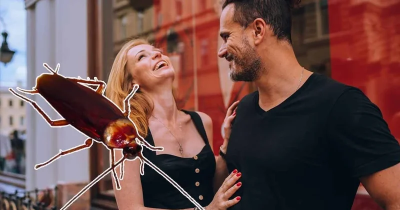 Hamam böceği trendi Ghosting i unutturdu! Bu yeni flört trendi mide bulandırıyor Sözcü Gazetesi