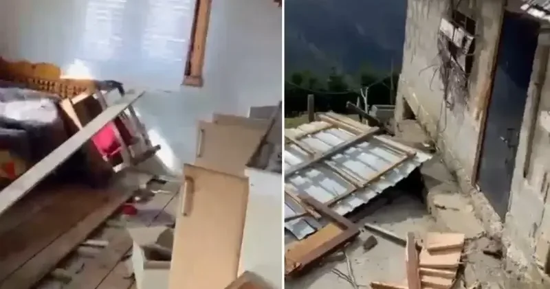 Rize de 20 ev ayılar tarafından talan edildi Rize Haberleri