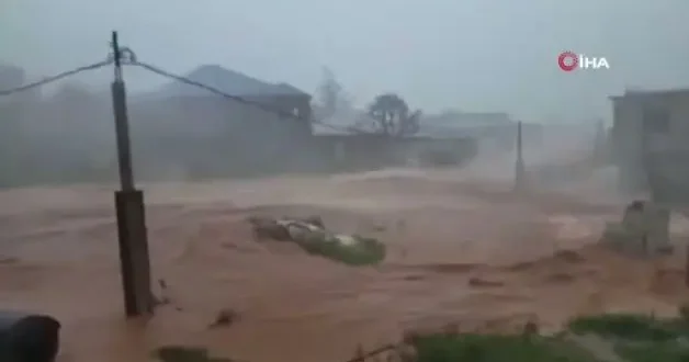 Melissa Kasırgası’nın bilançosu: Çok sayıda ölü var