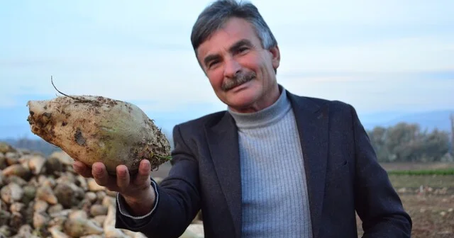 Şeker pancarı üreticisinin sözleri sosyal medyada gündem oldu: Ben kazanmıyorum diyen çiftçiler külliyen yalan söylüyor Çorum Son Dakika Haberleri Habertürk Yerel Haberler