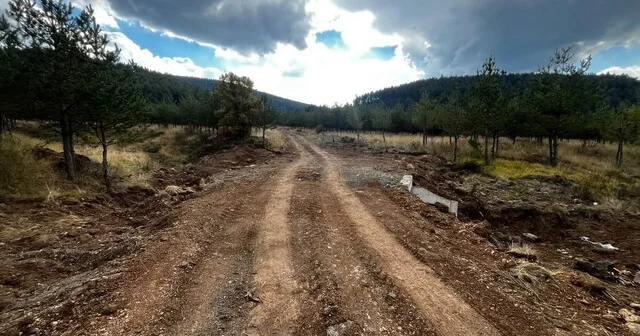 Bolu da orman yangınlarına müdahaleyi kolaylaştıracak çalışma Bolu Son Dakika Haberleri Habertürk Yerel Haberler
