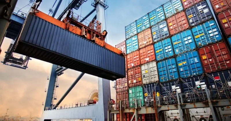 Yeşil mercimek ve yulaf ithalatında gümrük vergileri düşürüldü