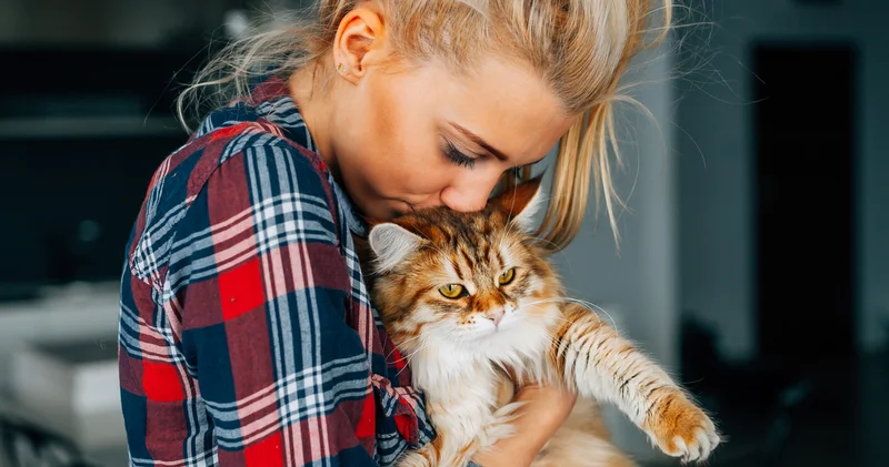 Kedilerin insanlarla ilişkisi sanılandan daha geç başlamış olabilir