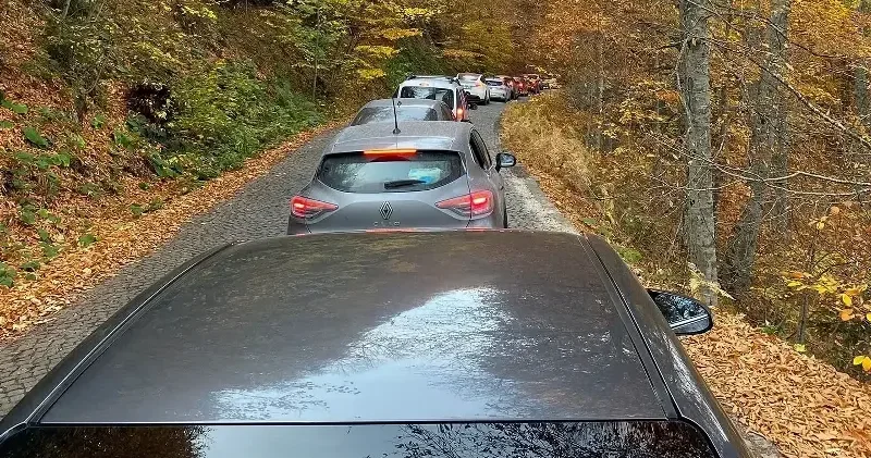 Yedigöller’i 2 ayda 180 bin kişi ziyaret etti Gündem Haberleri