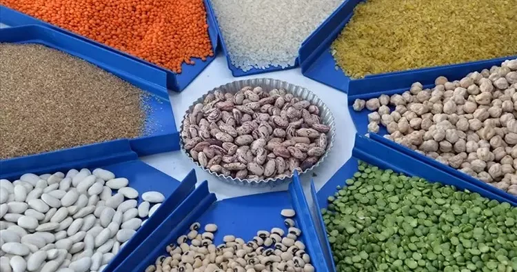 Ramazan öncesi iki üründe gümrük vergileri düşürüldü