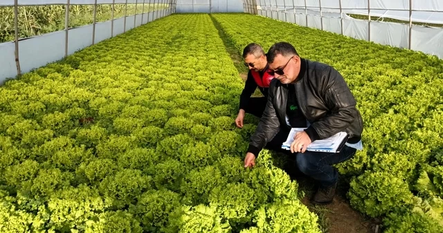 Kırklareli nde sera denetimleri Kırklareli Haberleri