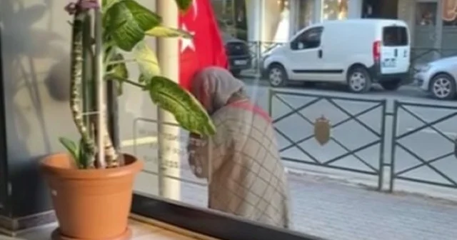 Türk bayrağını öpen teyzenin görüntüsü yürekleri ısıttı Türk bayrağını defalarca öpüp başının üstüne koydu Veteriner Sağlık Teknikeri Güler Kara: Görüntüyü bir müşterimiz tesadüfen çekmiş, biz de görünce duygulandık Eskişehir Haberleri