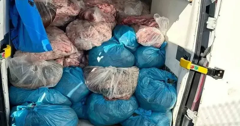 Kaçak sakatat operasyonu: 2 ton ele geçirildi Tekirdağ Haberleri