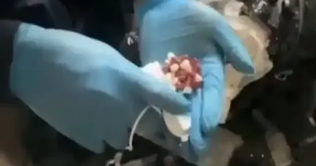 Samsun da 10 bin uyuşturucu hap ele geçirildi VİDEO İZLE