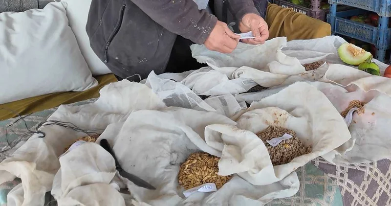 Annesinden alıp çoğalttı: İsteyene verecek