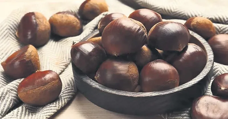 İDİL AÇIKALIN Kestane mevsimi