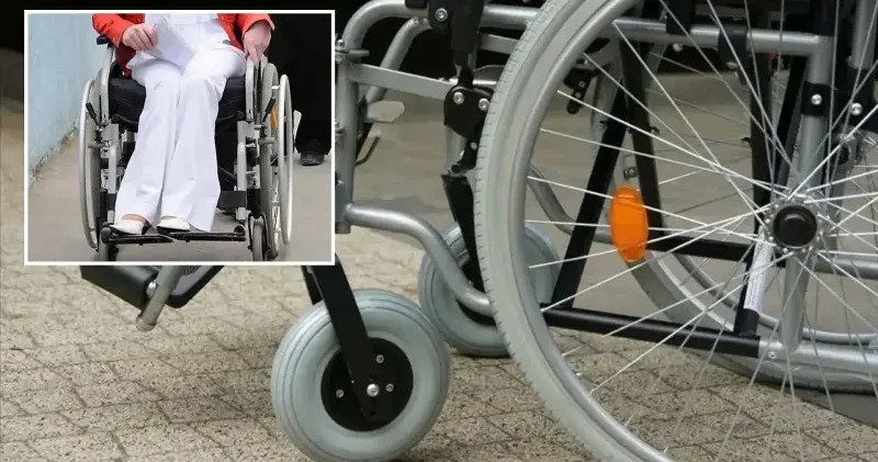 Engelli kadın ve gençlere istihdamında rekor destek Türkiye Ekonomisi Haberleri