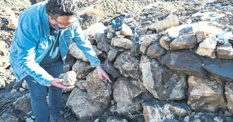 ‘Bingöl’de deniz mi vardı?’ dedirten bulgu