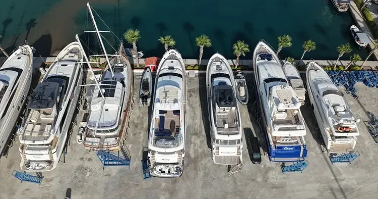 Dünyanın dört bir yanından geldiler! Yüzlercesi Türkiye de karaya alındı