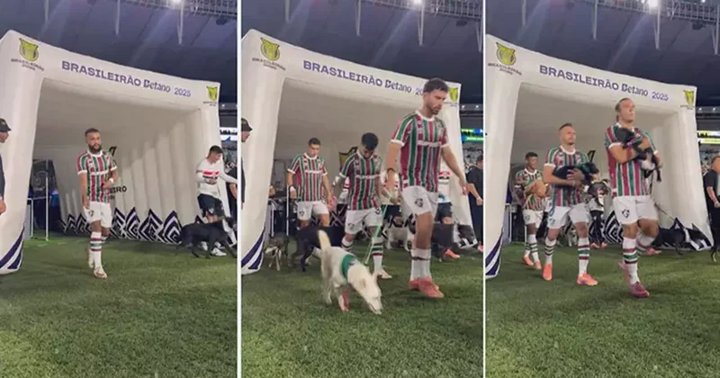 Fluminense FC de herkes köpekle çıktı o varmış gibi yaptı Fanatik Spor Haberleri Video