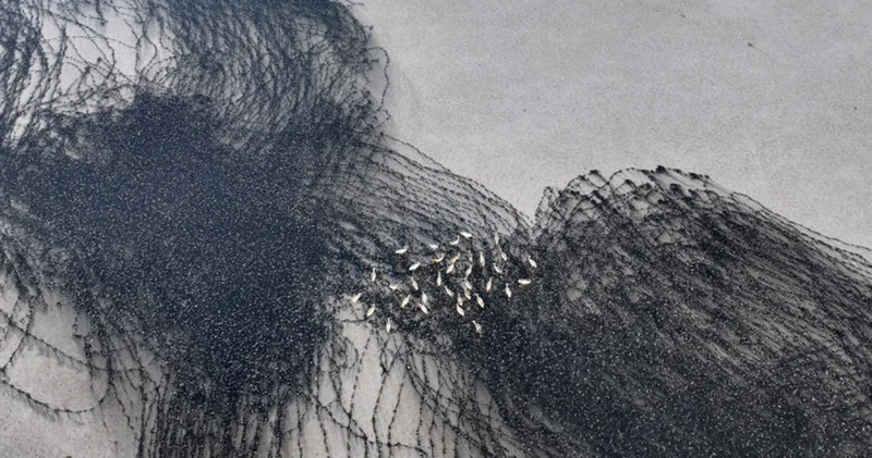 Su seviyesi yükselen Tuzla Palas Gölü nde kuş popülasyonu arttı