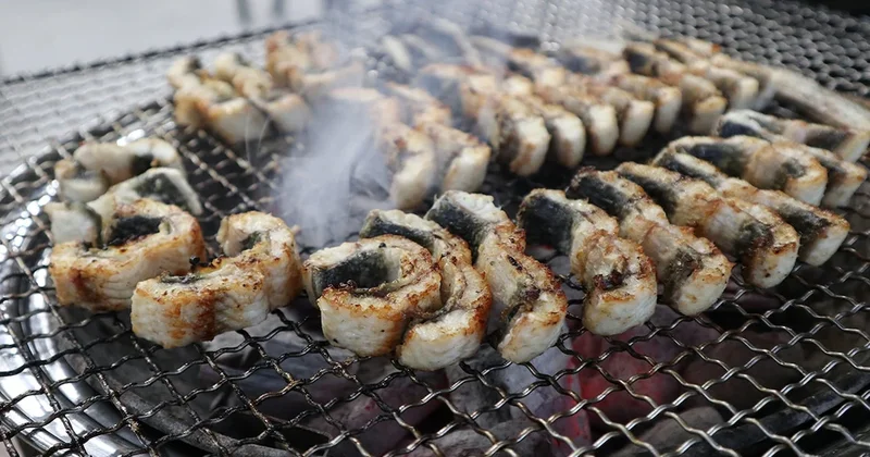 Balıkçılar özel yöntemlerle avlıyor: Kilosu 500 lira, bu balığı menüye koyamıyorlar Sözcü Gazetesi