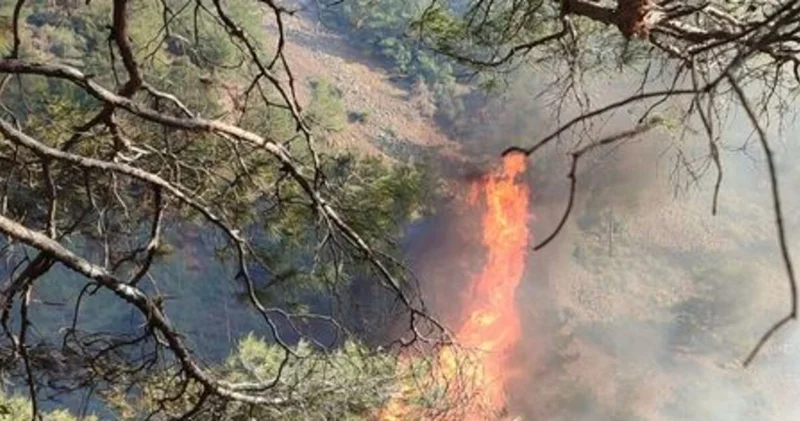 Hatay’ın Belen ilçesinde yaşanan orman yangınına müdahale başladı