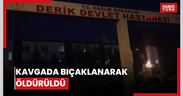 Kavgada bıçaklanarak öldürüldü