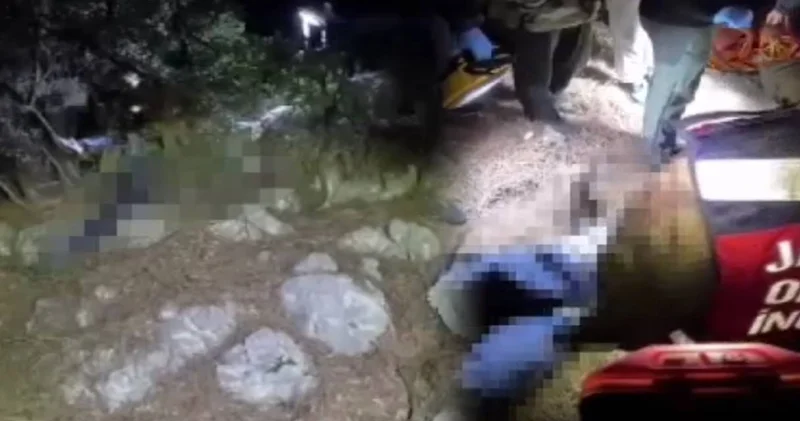 Avlanmak için ormana gitti: Ağacın altında ölü bulundu