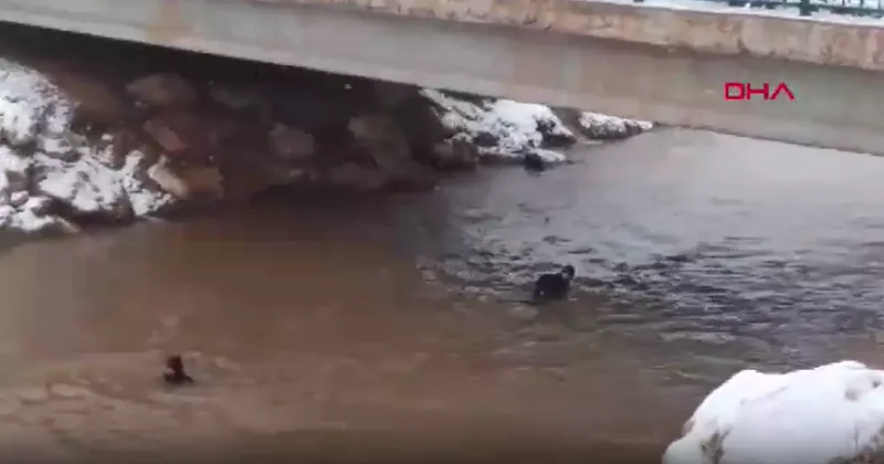 Son dakika Şanlıurfa da otomobil kanala düştü! Baba ve çocukları için zamana karşı yarış