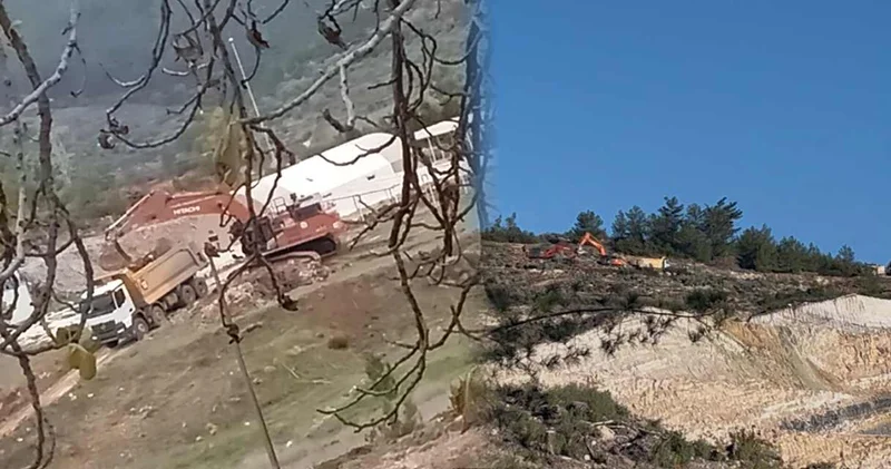 Akbelen’de yargı sürerken söküm devam ediyor: Jandarma denetiminde zeytin kıyımı!