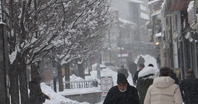 Doğu buz kesti; 2 ilçe eksi 25 dereceyi gördü Erzurum Haberleri