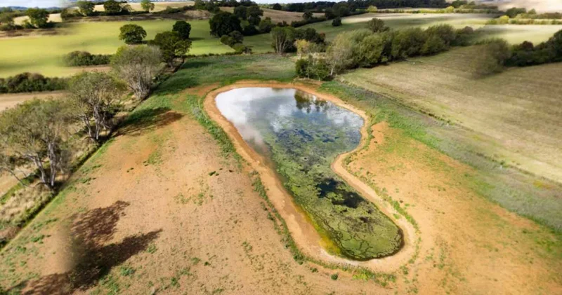 Zengin yasası devreye girdi! Ünlü çift 435 milyon liraya satın aldı