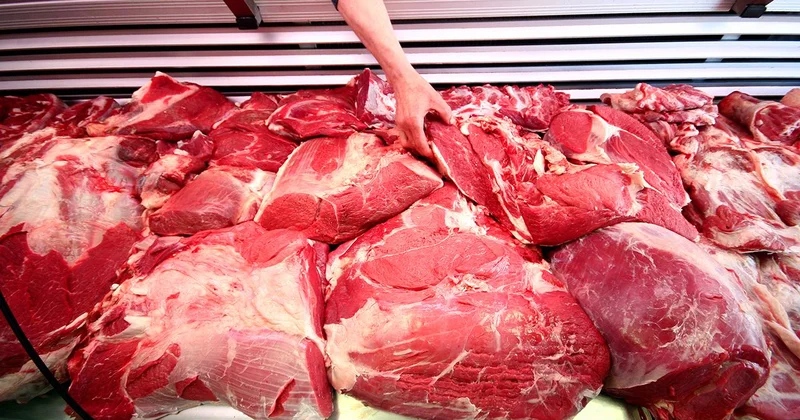 Kırmızı et arzı destek ve projelerle yükselecek