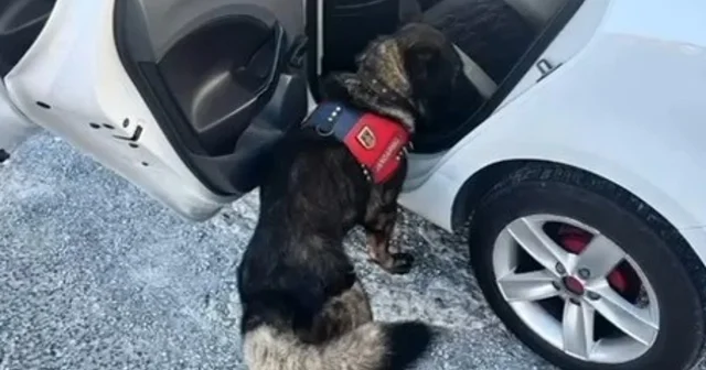 Jandarma tarafından Muğla da yapılan denetimde bir haftada 80 şahıs yakalandı Muğla Haberleri