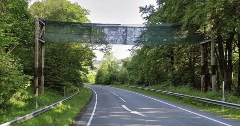 Sürücülerin 13 yıl boyunca öylece baktığı köprünün amacı yayalar değilmiş Sözcü Gazetesi