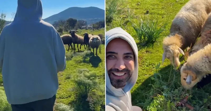 Ünlü şarkıcı Tan koyunları besledi, vegan olun mesajı verdi