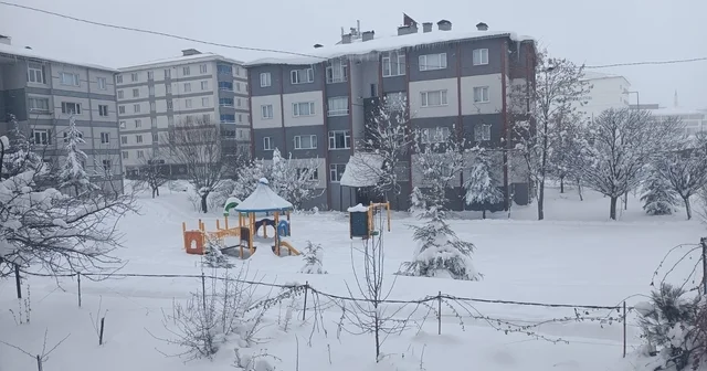 Bitlis te 203 köy yolu açıldı Bitlis Haberleri