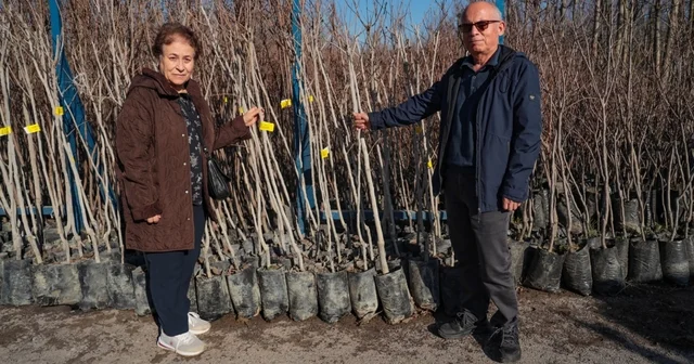 75 üreticiye 3 bin 600 fidan Kocaeli Haberleri