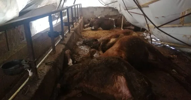 Karabük te kar kalınlığı 60 santimetreye ulaştı; eğitime kar engeli (2) Karabük Haberleri